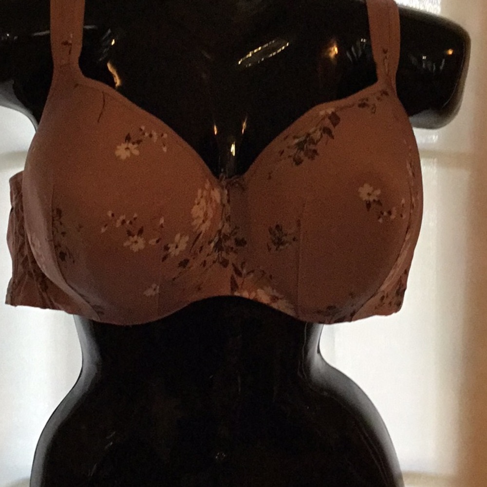 lane BRyANT Bra